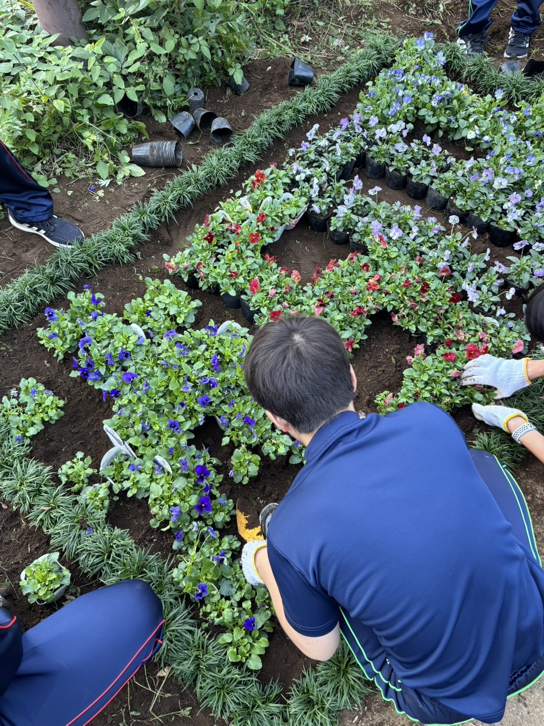 2025　花いっぱい活動　作業中１（HP用)